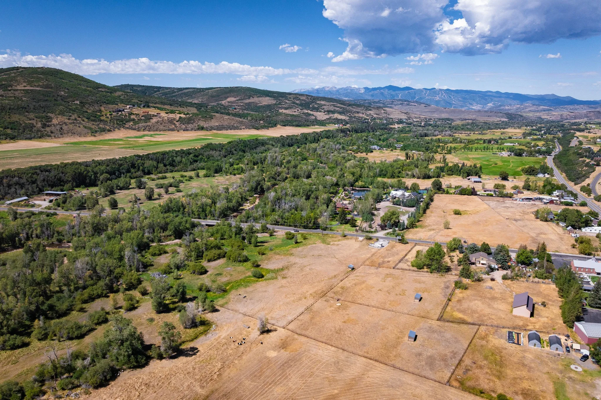 Expansive natural landscape with varied terrain, featuring mature trees and distant mountain ranges