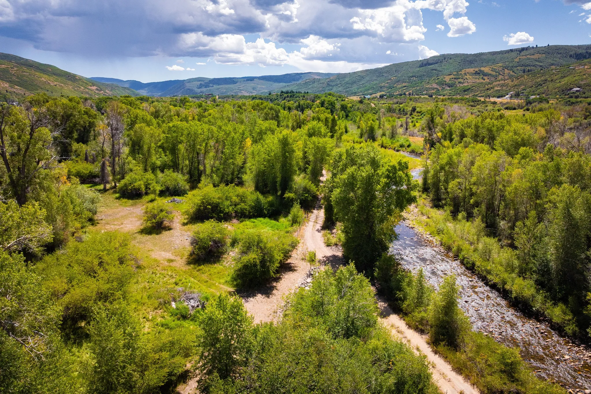 Lush green foliage with mature trees, a meandering river, and distant mountains under a partly cloudy sky