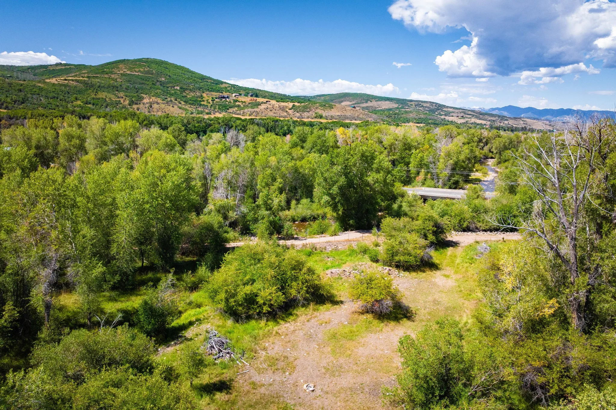 Expansive natural landscape featuring lush green trees, a winding river, and distant mountains under a blue sky