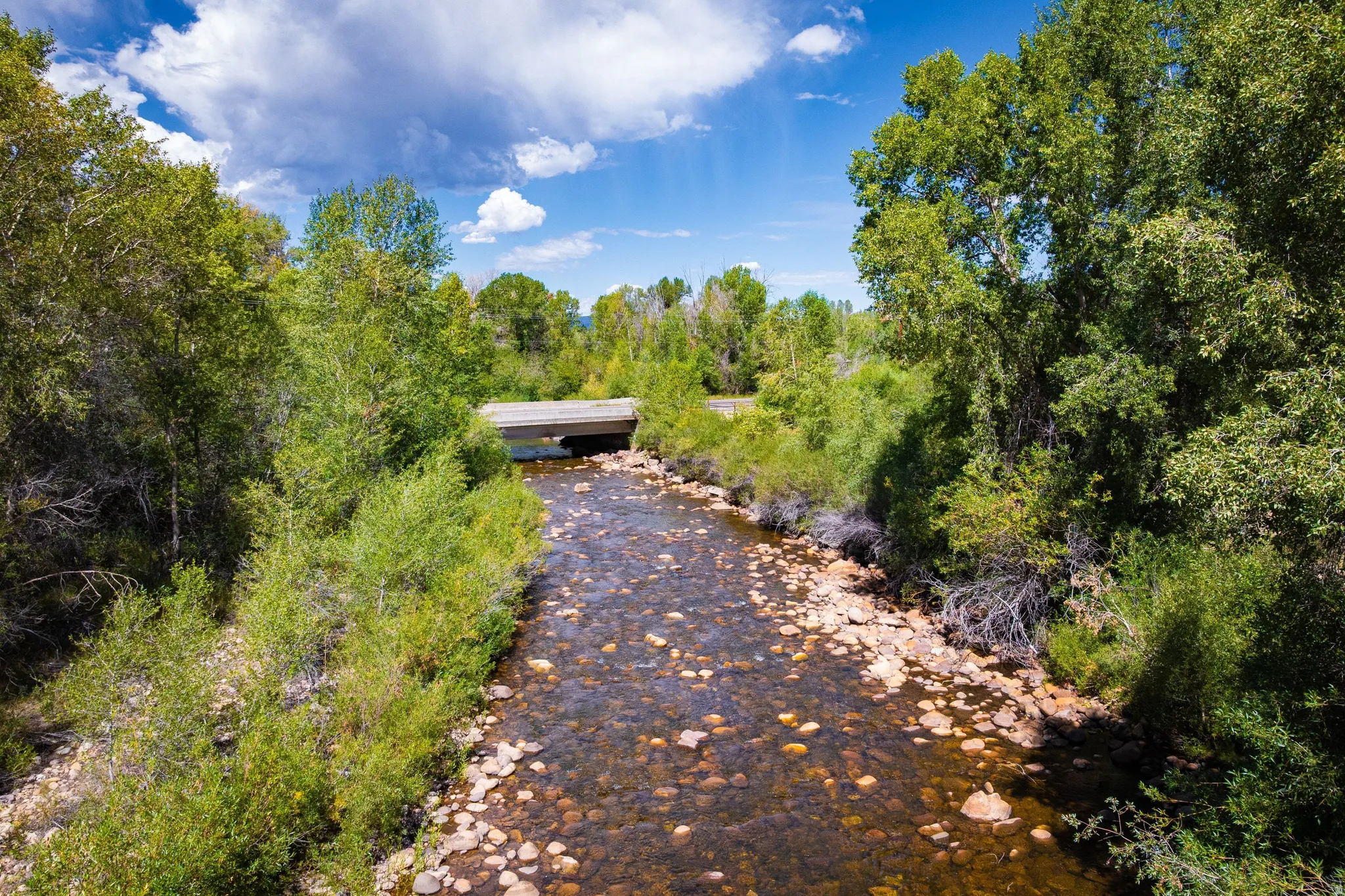 River frontage with a natural rock bed, surrounded by mature trees and lush vegetation
