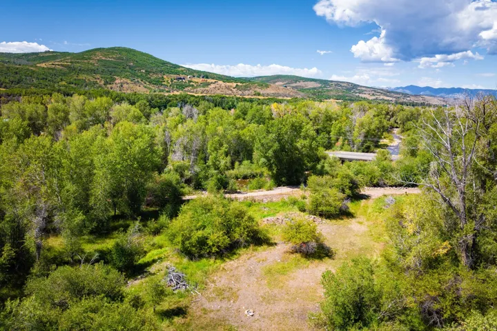 Expansive natural landscape featuring lush green trees, a winding river, and distant mountains under a blue sky