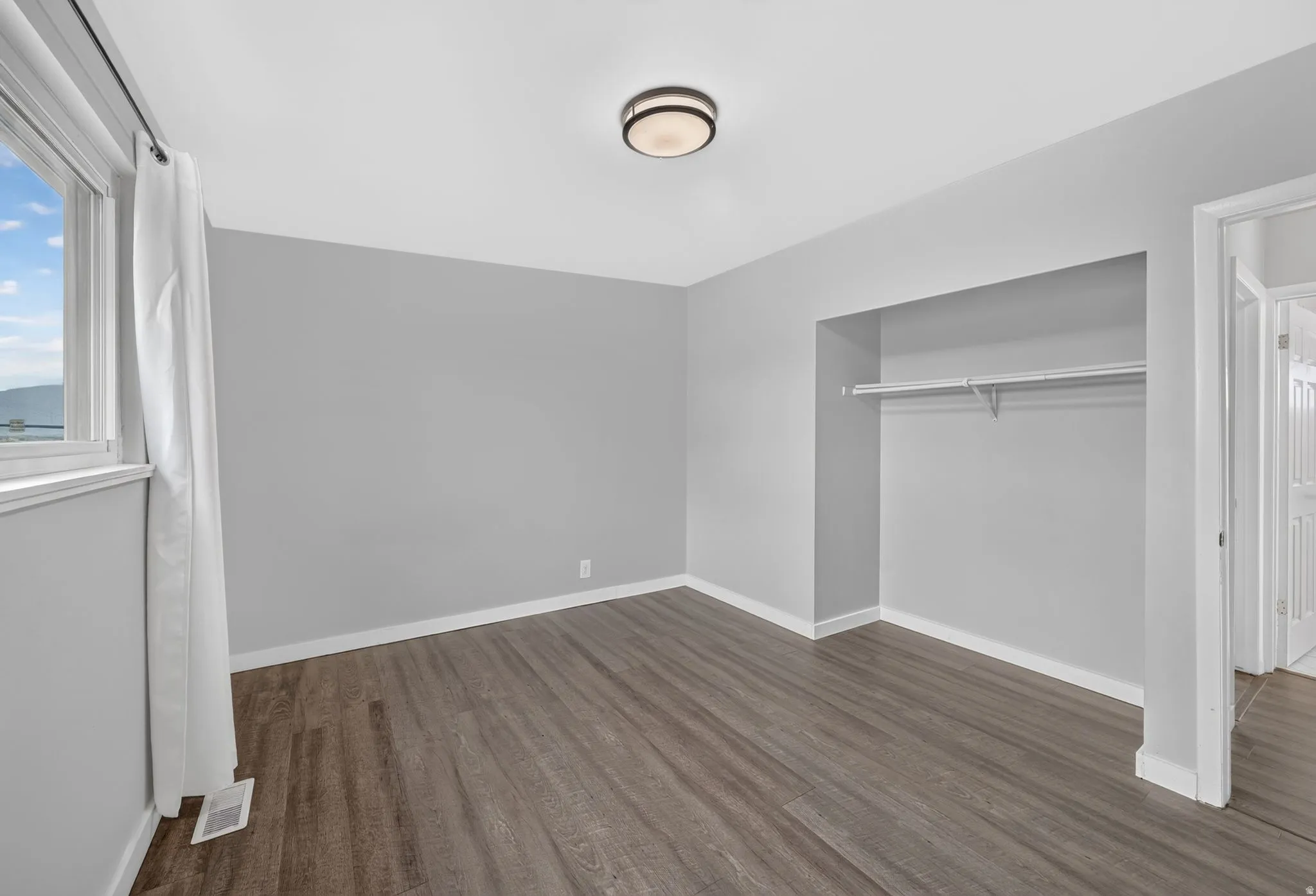 Wood-finish flooring, recessed closet, and contemporary ceiling light fixture