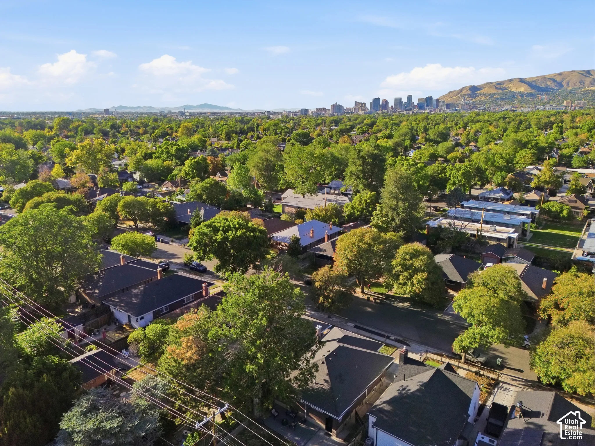 Expansive neighborhood setting with mature trees and mountain backdrop