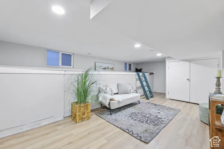 Basement living area
