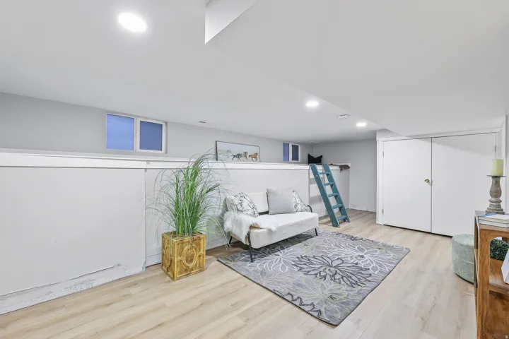 Basement living area