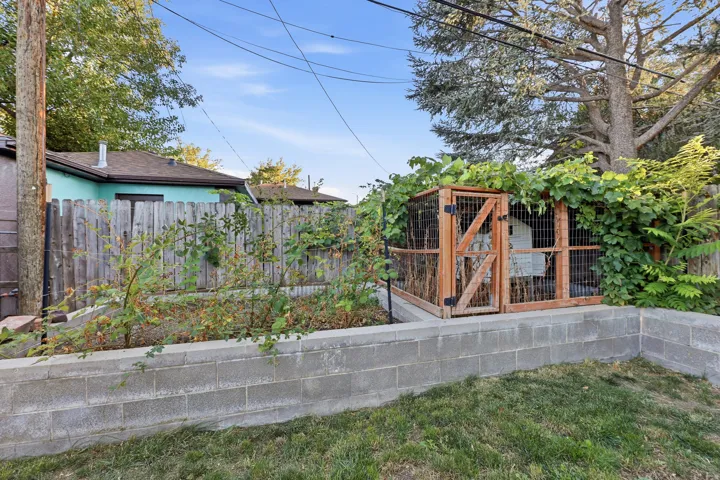 Chicken coop and raised garden area