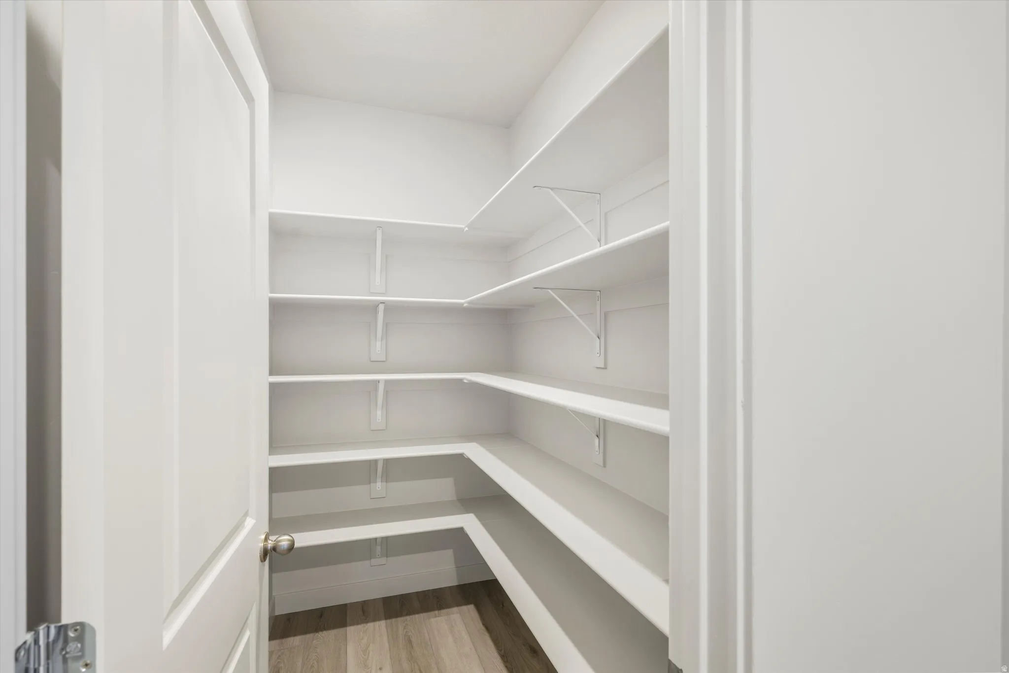 Spacious pantry with extensive shelving and wood-finish flooring