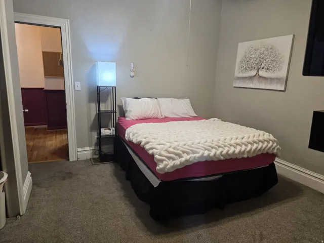 Textured wall finish, ceiling fan, and carpeted flooring