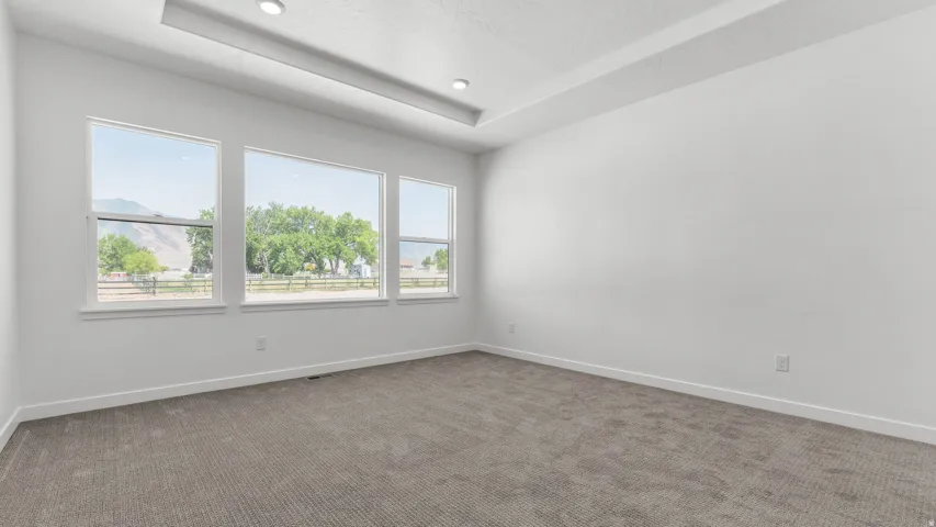 Recessed lighting, tray ceiling, wall-to-wall carpeting, multiple windows, and white walls