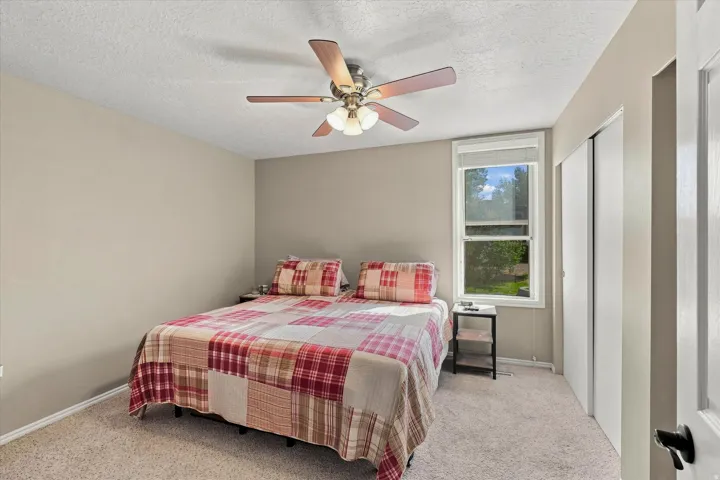 Carpeted flooring with light-toned walls