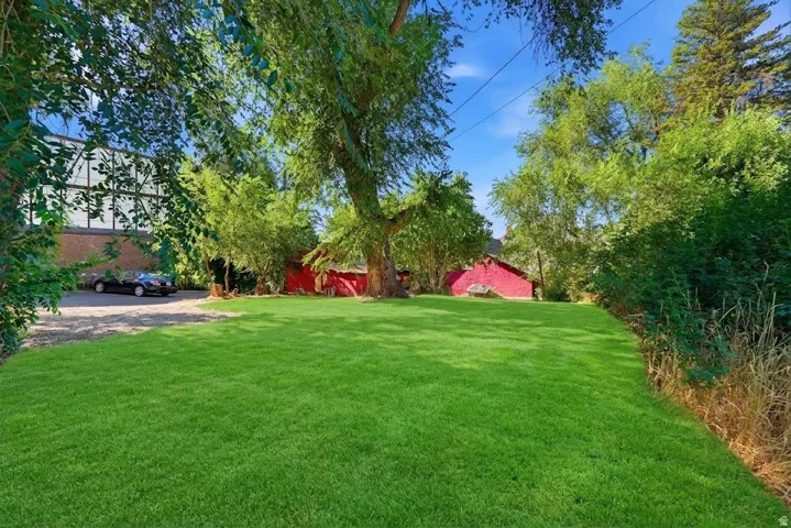 AI Generated, what the yard could look like with watered grass.