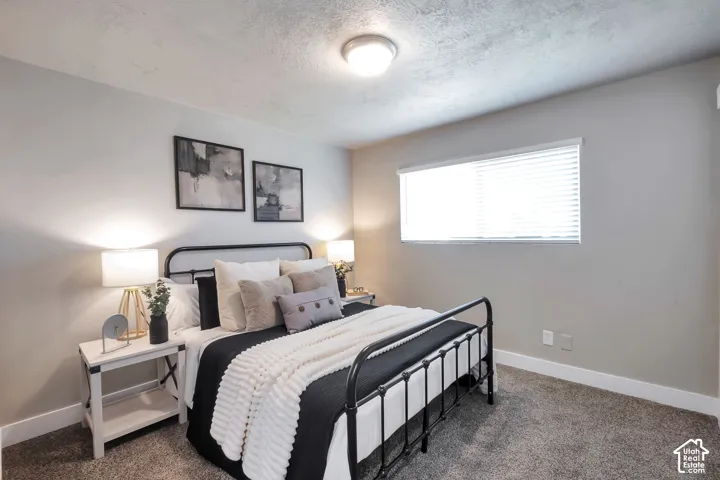 Wall-to-wall carpeting and a ceiling-mounted light fixture