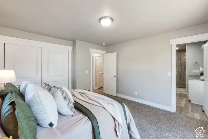 Neutral wall paint, carpet flooring, flush-mount ceiling light, white double-panel sliding closet doors, and wood-finish flooring in the bathroom