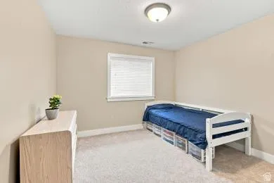 Neutral wall color, window with horizontal blinds, overhead ceiling light fixture, and carpeted flooring