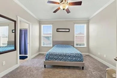 Ceiling fan with light fixture, two windows with blinds, crown molding, and carpet flooring