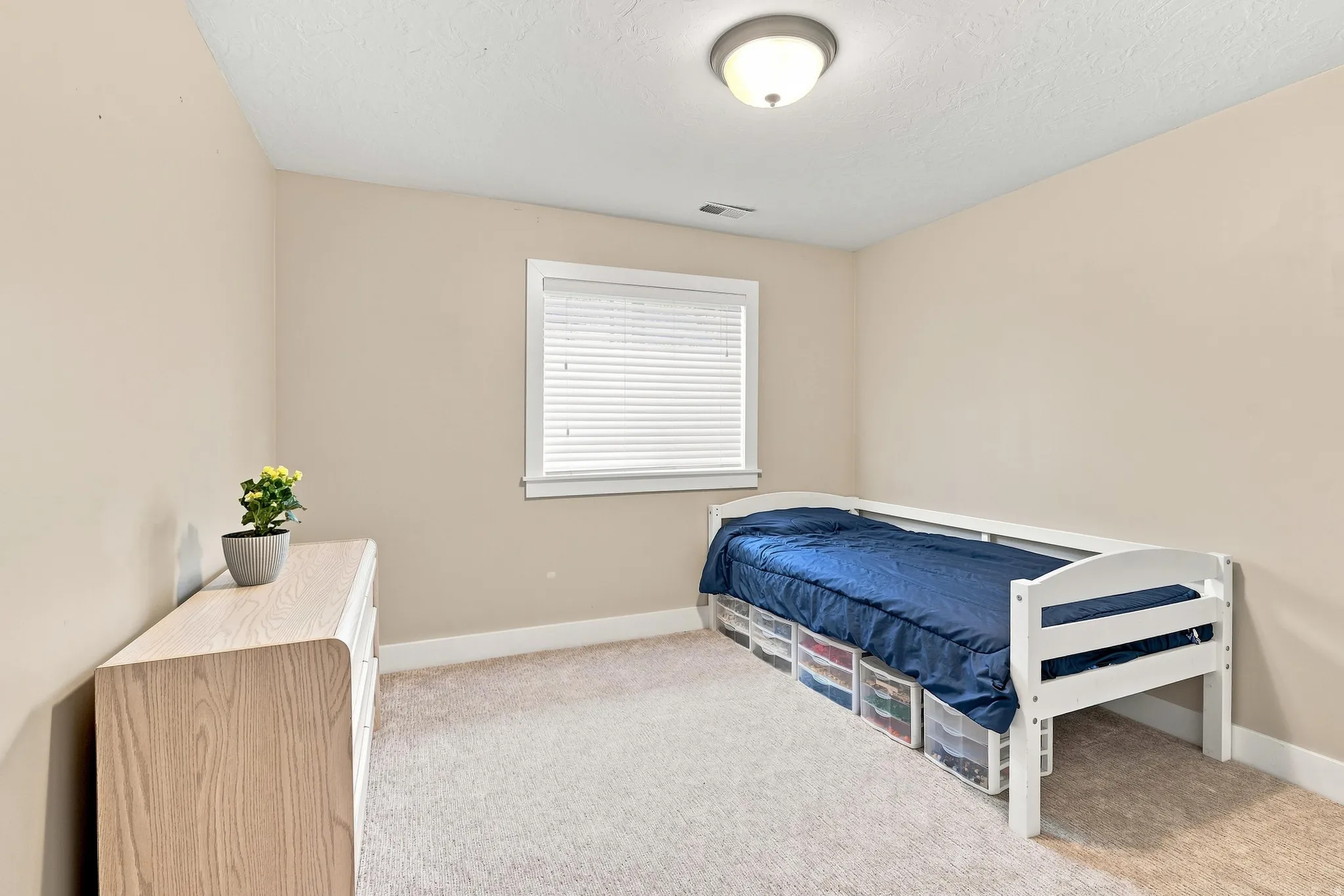Neutral wall color, carpeted flooring, window with blinds, and flush mount lighting