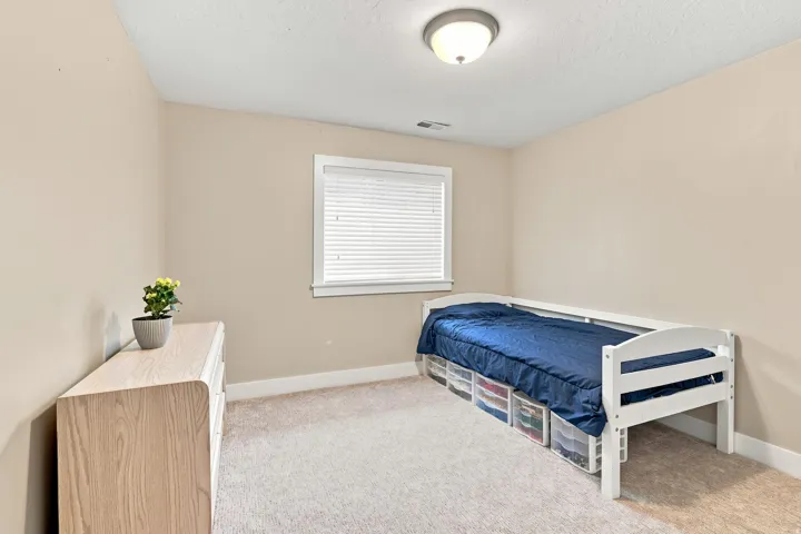 Neutral wall color, carpeted flooring, window with blinds, and flush mount lighting