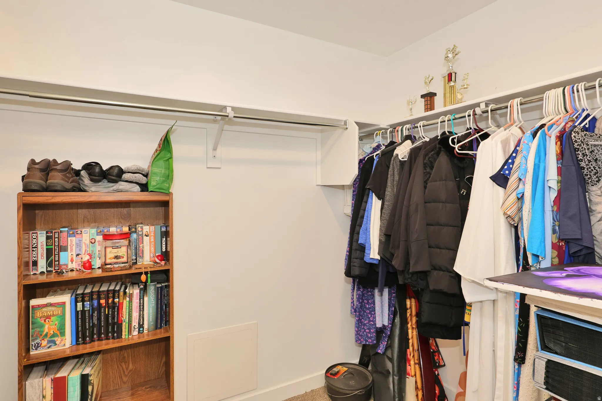 Built-in closet shelving and hanging rods