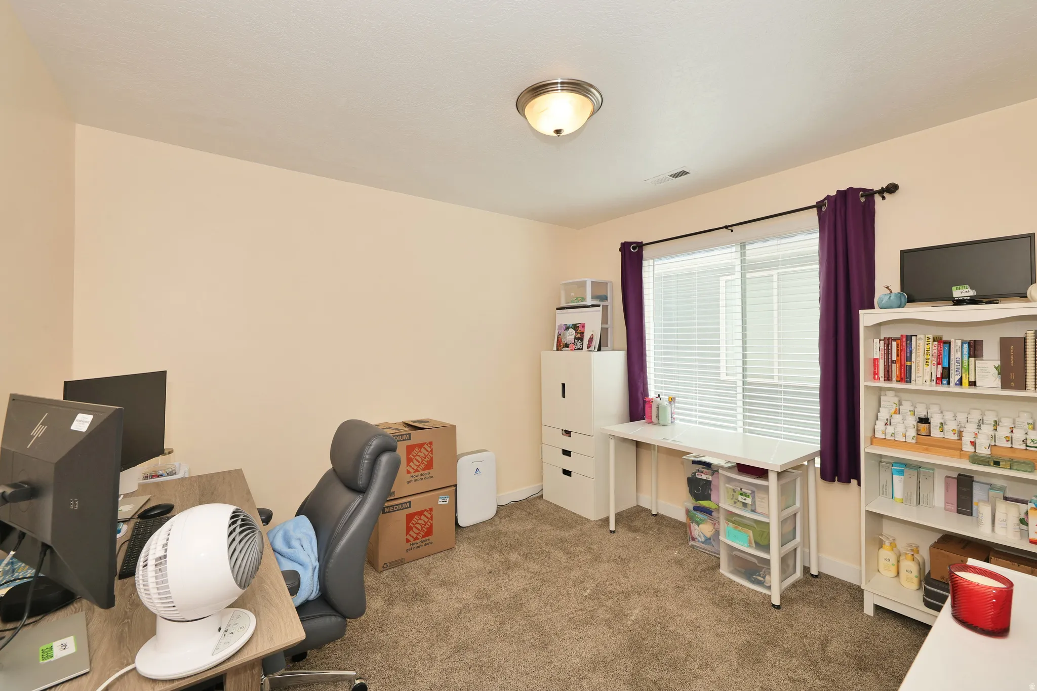 Neutral wall paint, carpeted flooring, and a flush mount ceiling light