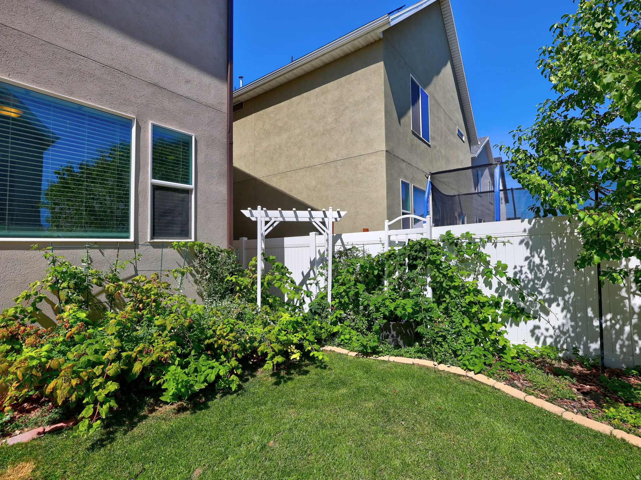 Manicured lawn with a decorative border, surrounded by vibrant plantings and mature greenery