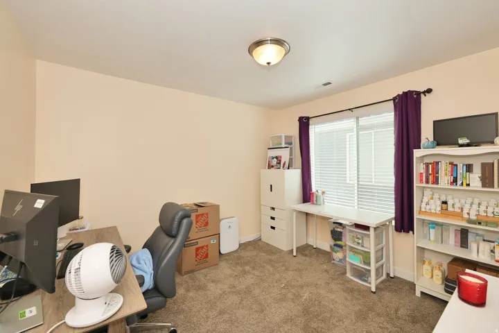 Neutral wall paint, carpeted flooring, and a flush mount ceiling light
