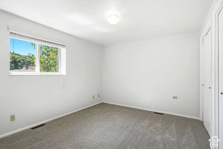 Window with outdoor scenery, neutral wall paint, built-in closet with white doors, flush-mount ceiling light, and carpeted flooring