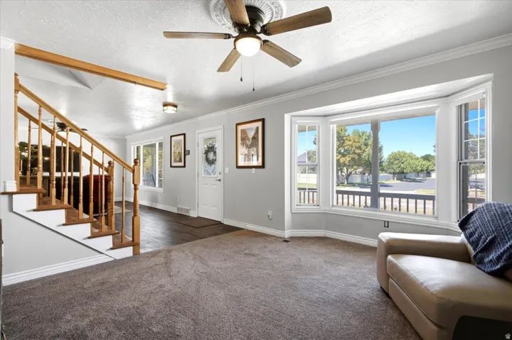 Newer carpet