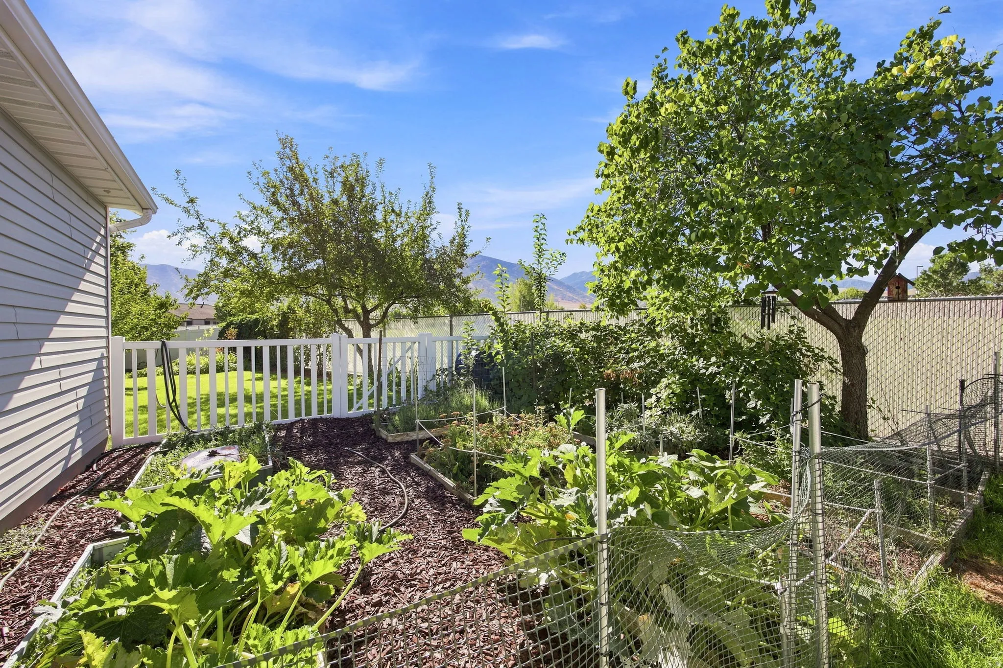 Garden beds with established plantings, wood chip ground cover, and a white picket fence