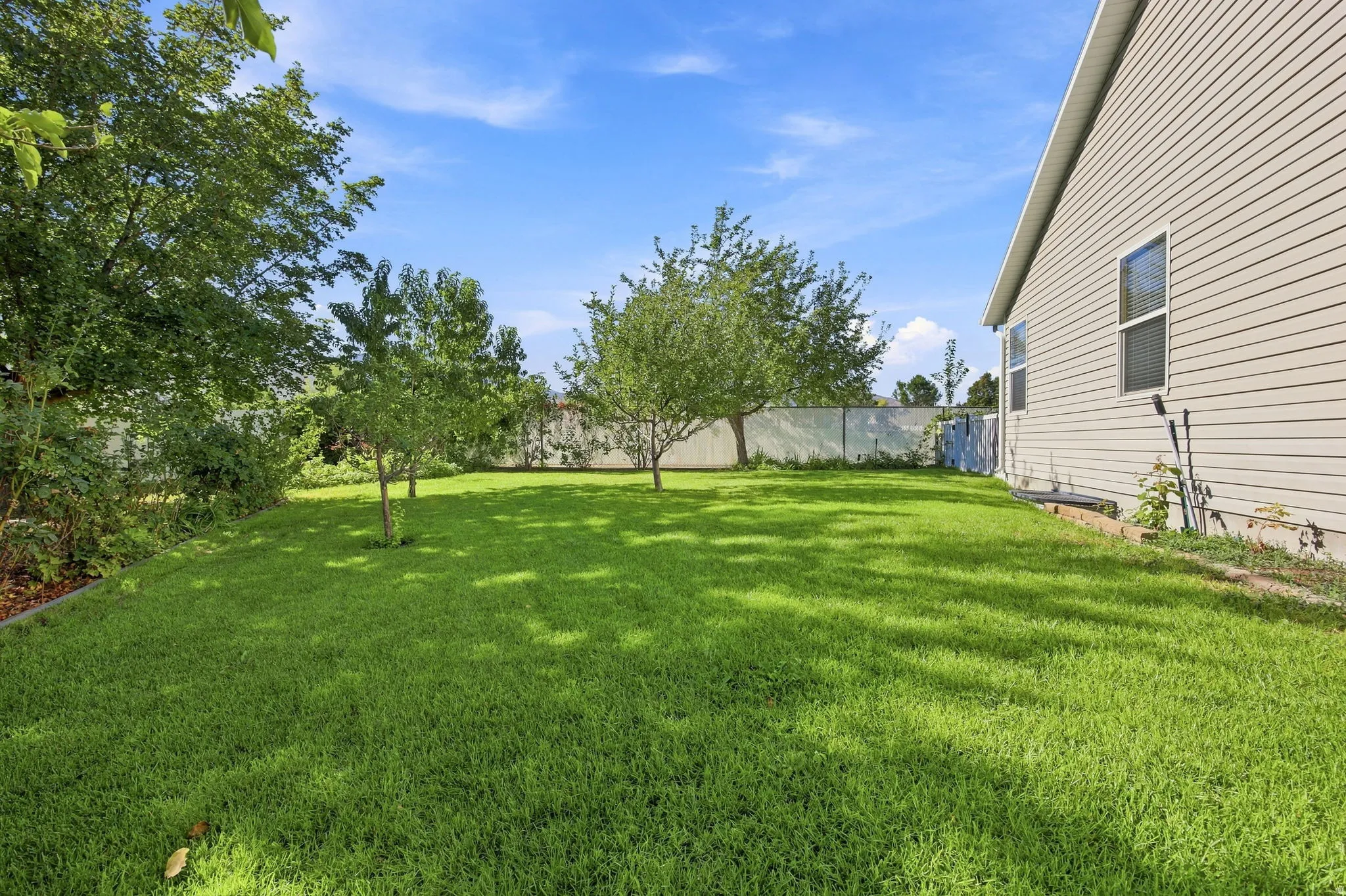 Expansive green lawn, mature trees, privacy fencing, and a neutral-toned siding exterior