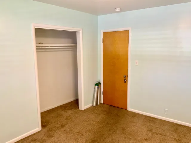 Carpeted flooring, light-colored walls, white trim, and a built-in closet with a hanging rod