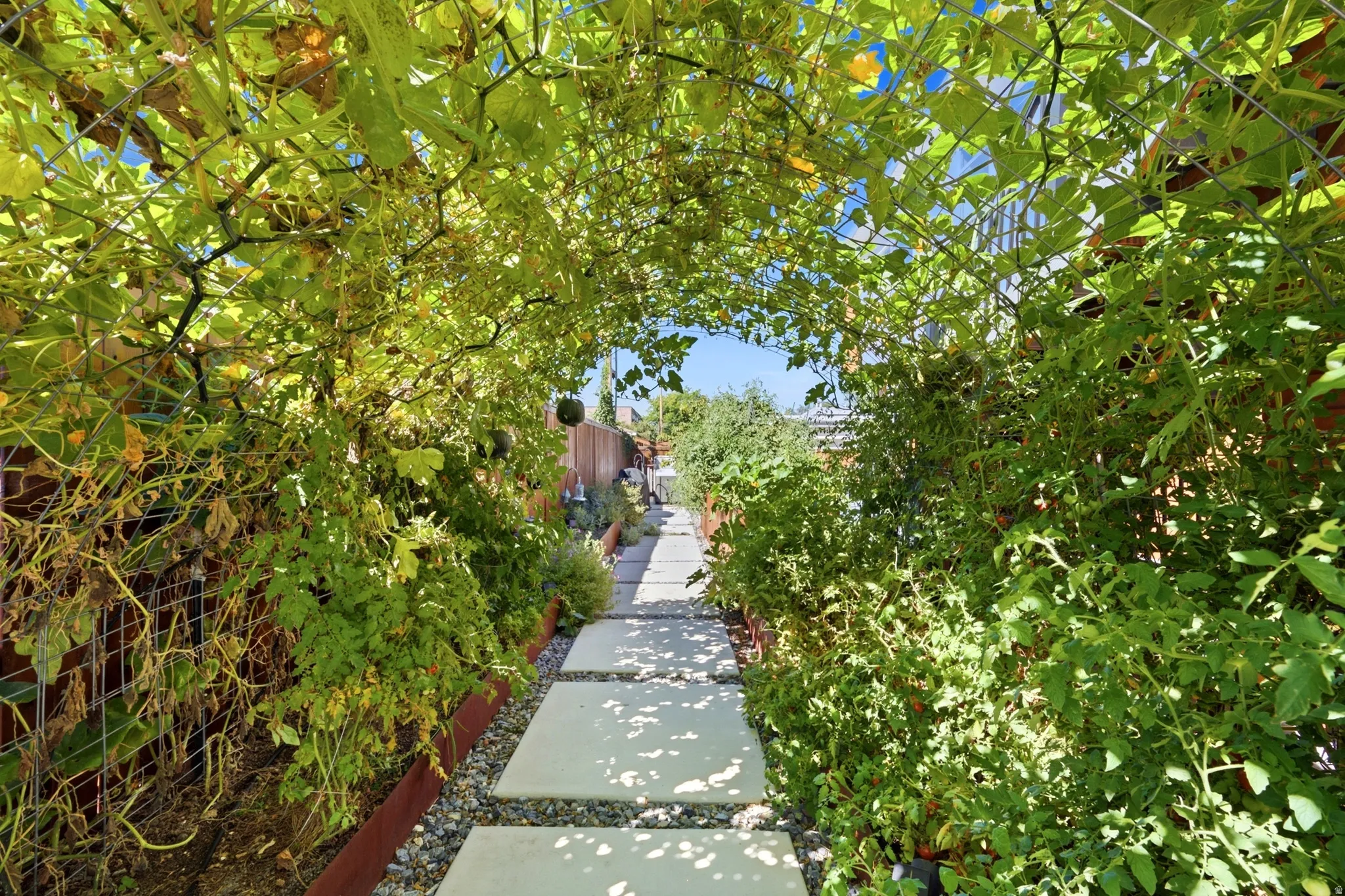 Incredible garden arch and walkway
