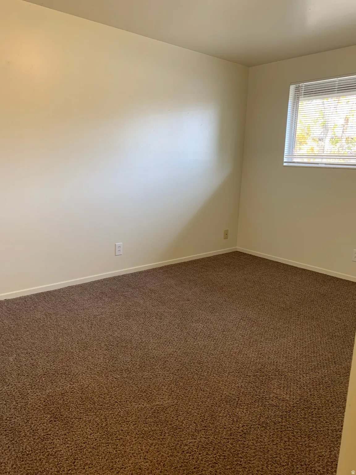 Carpeted interior with light-toned walls and a window featuring horizontal blinds
