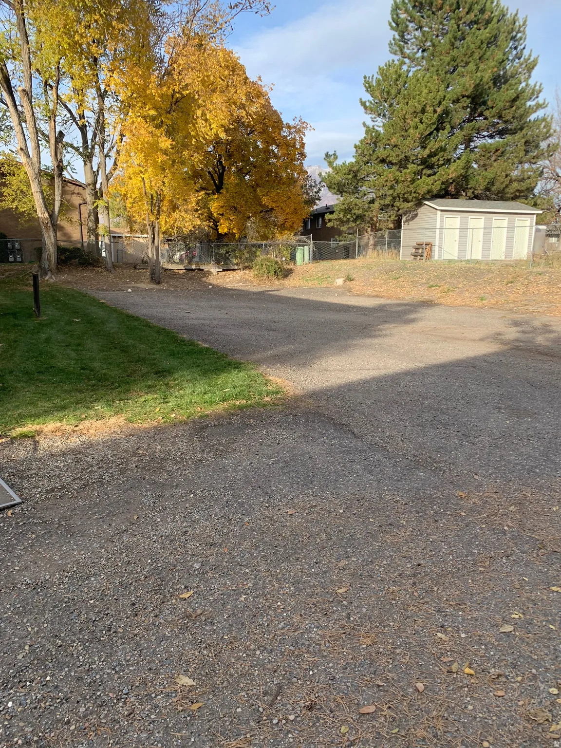 Gravel driveway with a manicured grass edge, mature deciduous and evergreen trees, and a utility shed with multiple doors