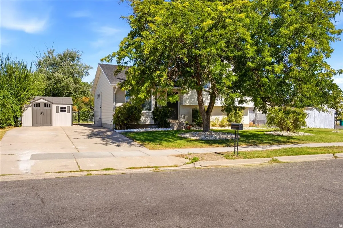 Concrete driveway, detached storage shed, residential landscaping, and mature front yard tree