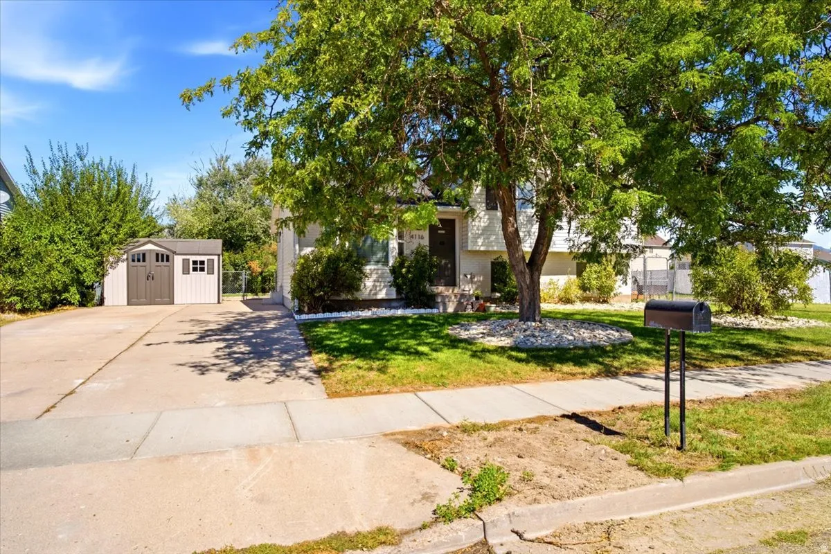 Exterior featuring a concrete driveway, a sidewalk, a front lawn, a mature tree, and a detached storage shed with double doors and two windows