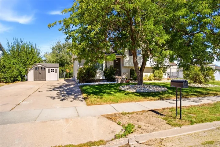 Exterior featuring a concrete driveway, a sidewalk, a front lawn, a mature tree, and a detached storage shed with double doors and two windows