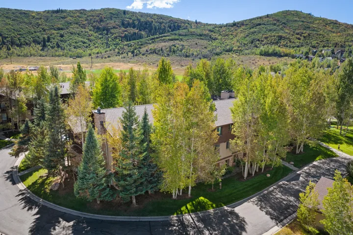 Property featuring a pitched roof, stone chimney, and mature trees including evergreens and deciduous varieties