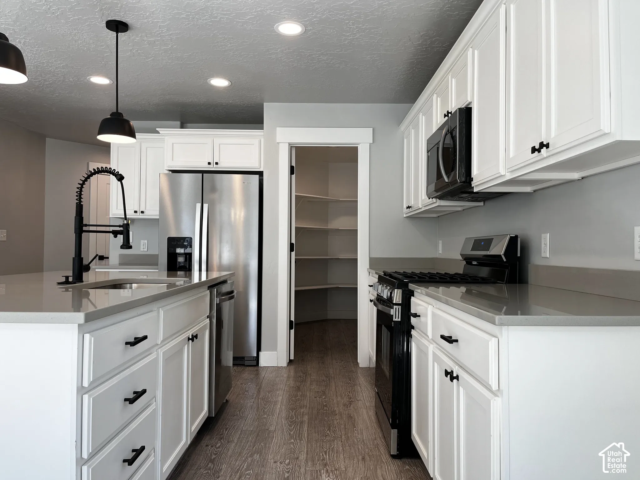White cabinetry, stainless steel appliances, wood-finish flooring, recessed lighting, and a walk-in pantry