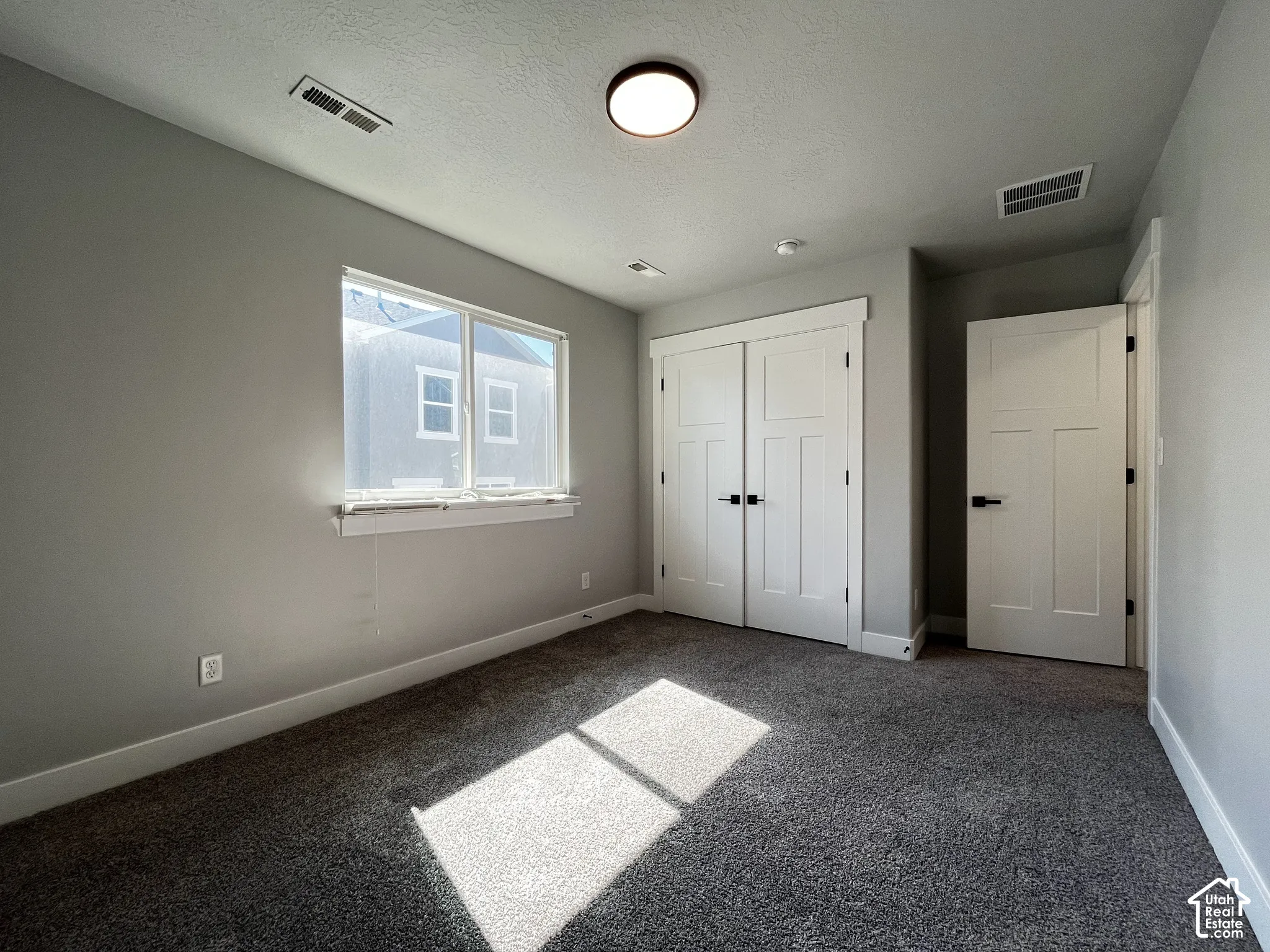 Neutral wall color, plush carpeting, white trim, modern interior doors, and a ceiling-mounted light fixture