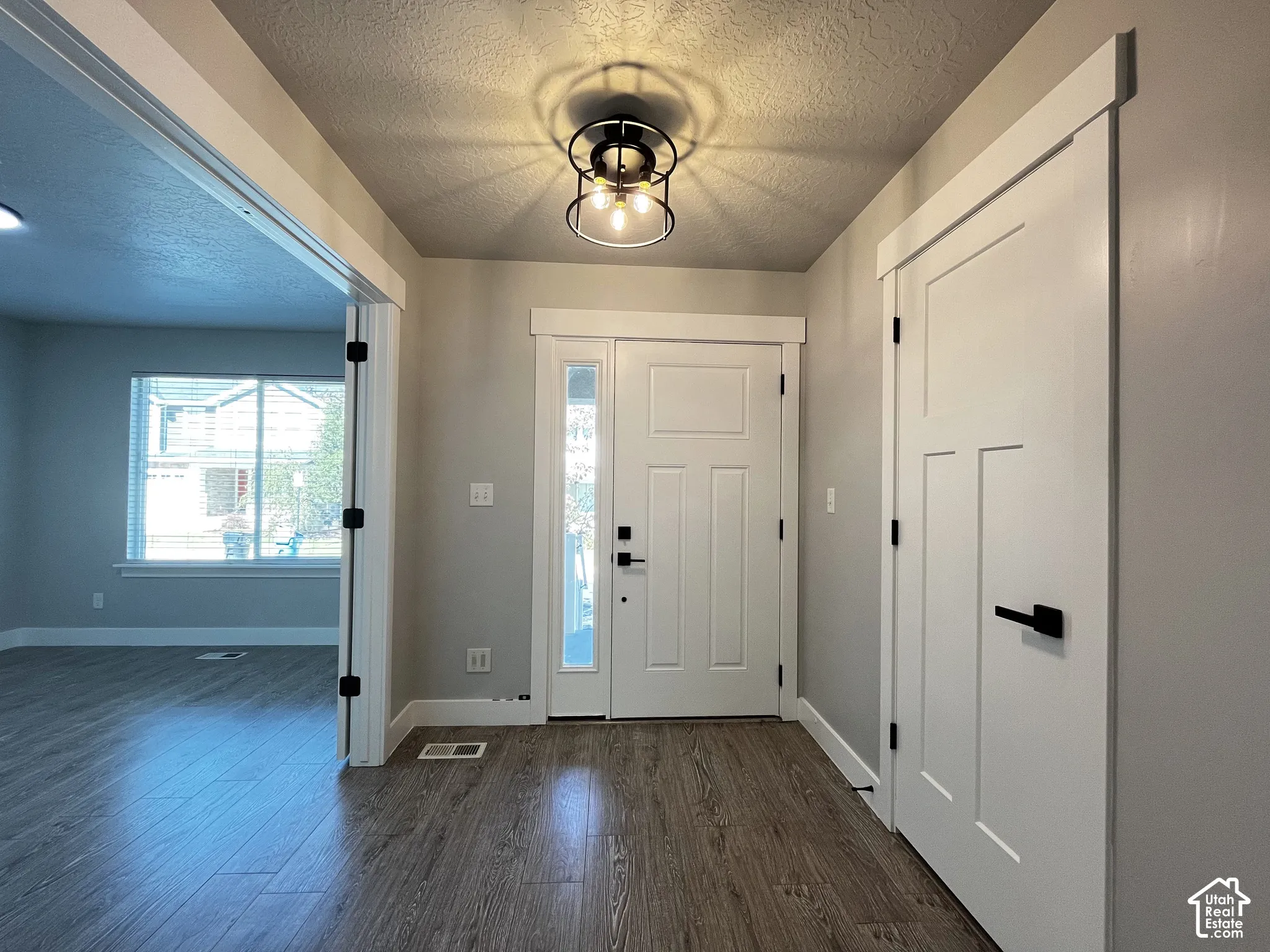 Entryway featuring wood-finish flooring, a modern black-finish flush-mount light fixture, a paneled entry door with a sidelight, and white trim