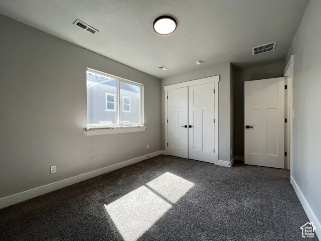 Neutral wall color, plush carpeting, white trim, modern interior doors, and a ceiling-mounted light fixture