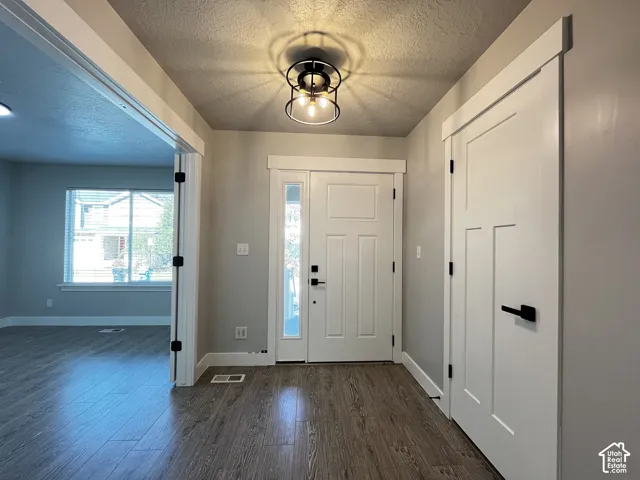 Entryway featuring wood-finish flooring, a modern black-finish flush-mount light fixture, a paneled entry door with a sidelight, and white trim
