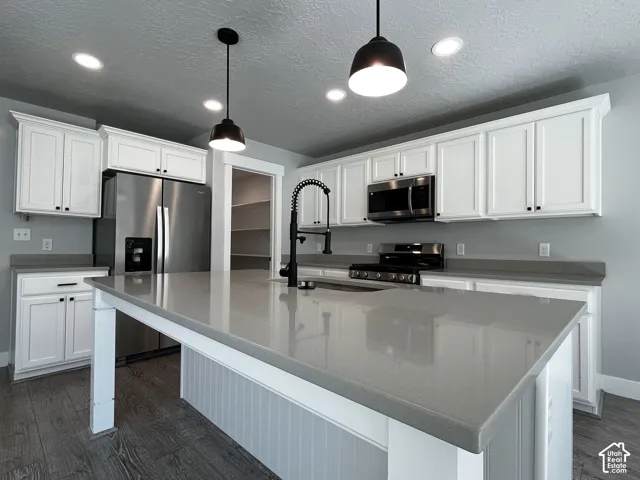 Kitchen featuring a large island with a substantial countertop, white cabinetry, integrated stainless steel appliances, and wood-finish flooring