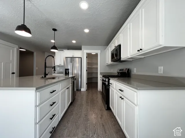 Kitchen featuring white cabinetry, grey countertops, stainless steel appliances, wood-finish flooring, and recessed and pendant lighting