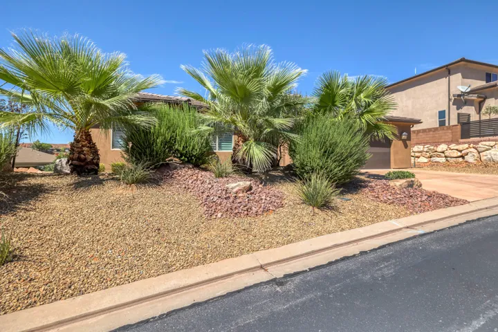 Desert-scaped front yard featuring mature palm trees and varied shrubbery