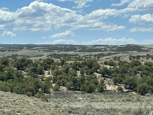 Expansive undeveloped land featuring natural foliage and distant rolling terrain