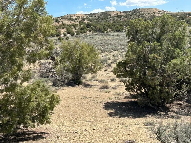Natural landscape featuring rolling hills and established vegetation