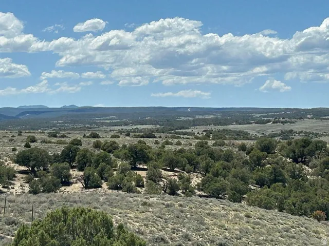 Expansive natural landscape featuring scattered mature trees and distant mountain ranges under a partly cloudy sky