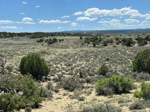Expansive undeveloped land with diverse natural vegetation