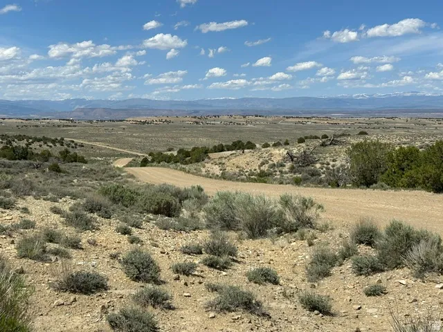 Expansive arid landscape featuring a winding dirt road and distant snow-capped mountains